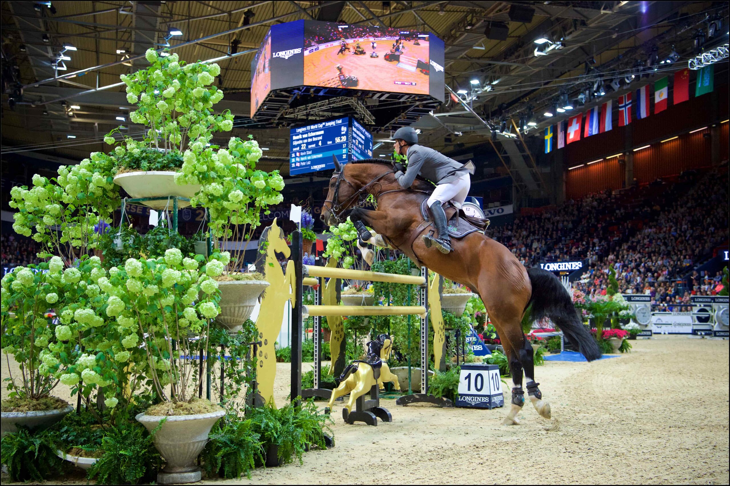 Sweden International Horse Show 2025 – guide inför helgens tävlingar