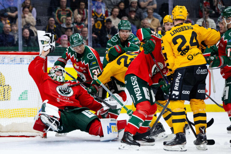 Frölunda och Skellefteå i hockey, SHL, fight framför mål