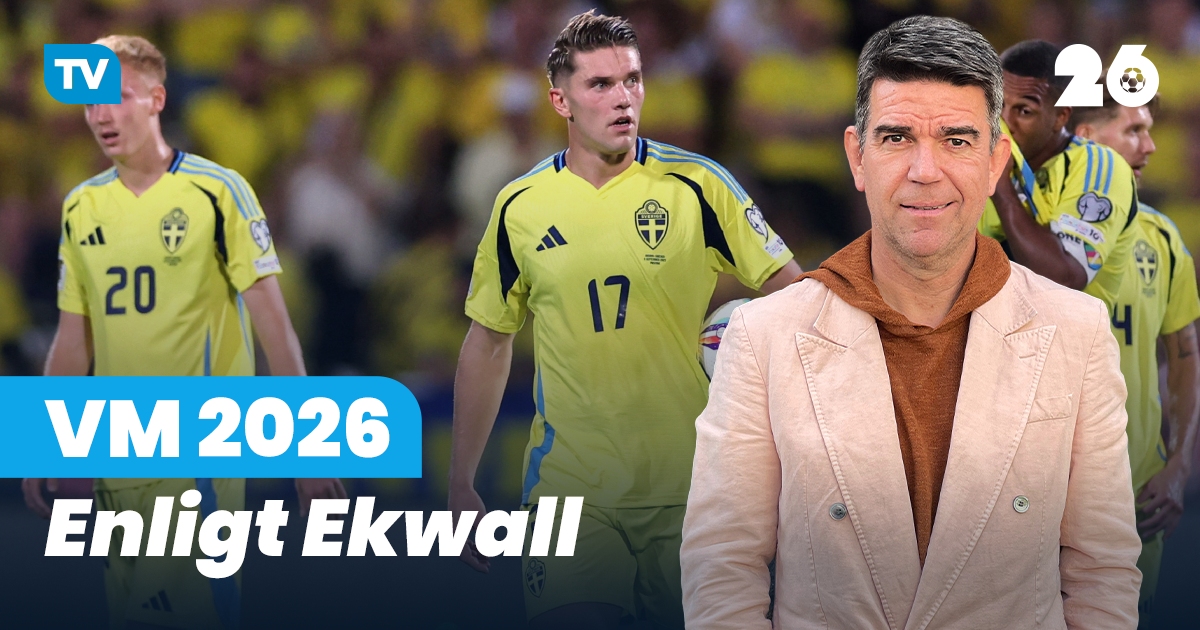EKWALL: Sverige behöver ett svin