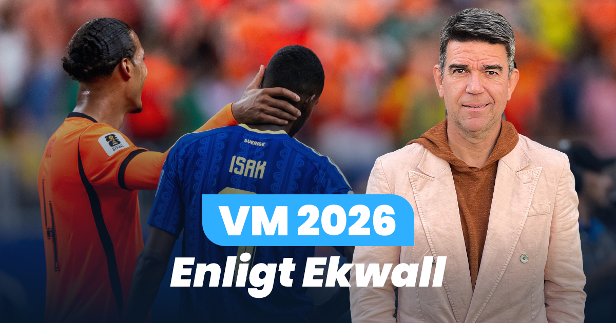 Spelarbetyg av Ekwall på Sverige mot Nederländerna