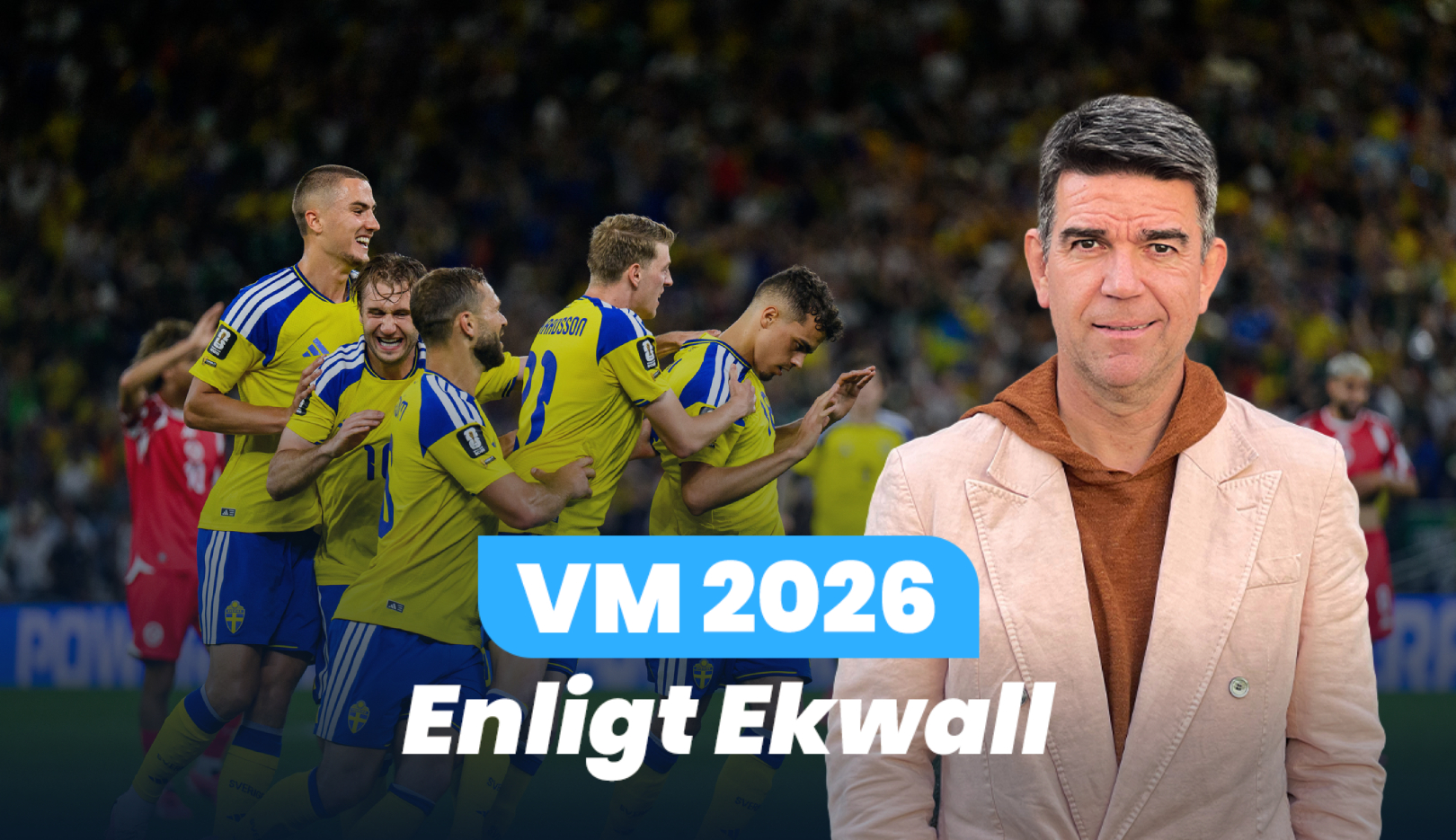 Ayari och gänget firar efter 1-0 målet Sverige - Tunisien