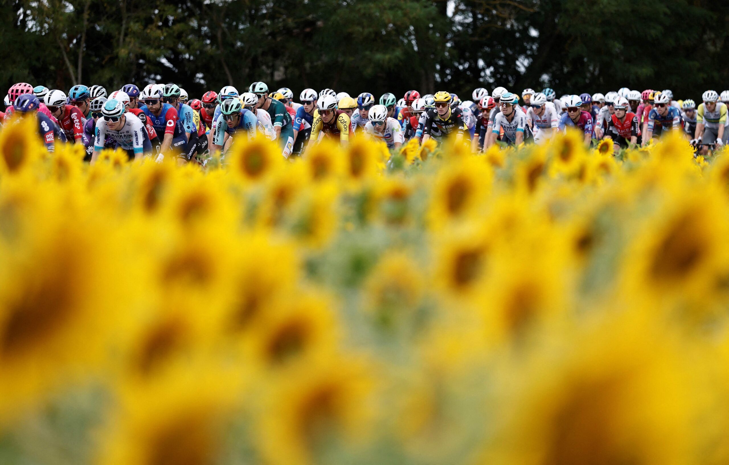 Stor guide till Tour de France 2026 – Förutsättningar, favoriter och odds