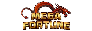 Mega Fortune Casino Recension