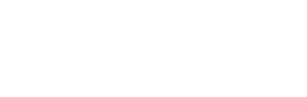 skrill logo