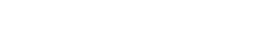 zimpler logo