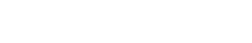 paysafecard logo