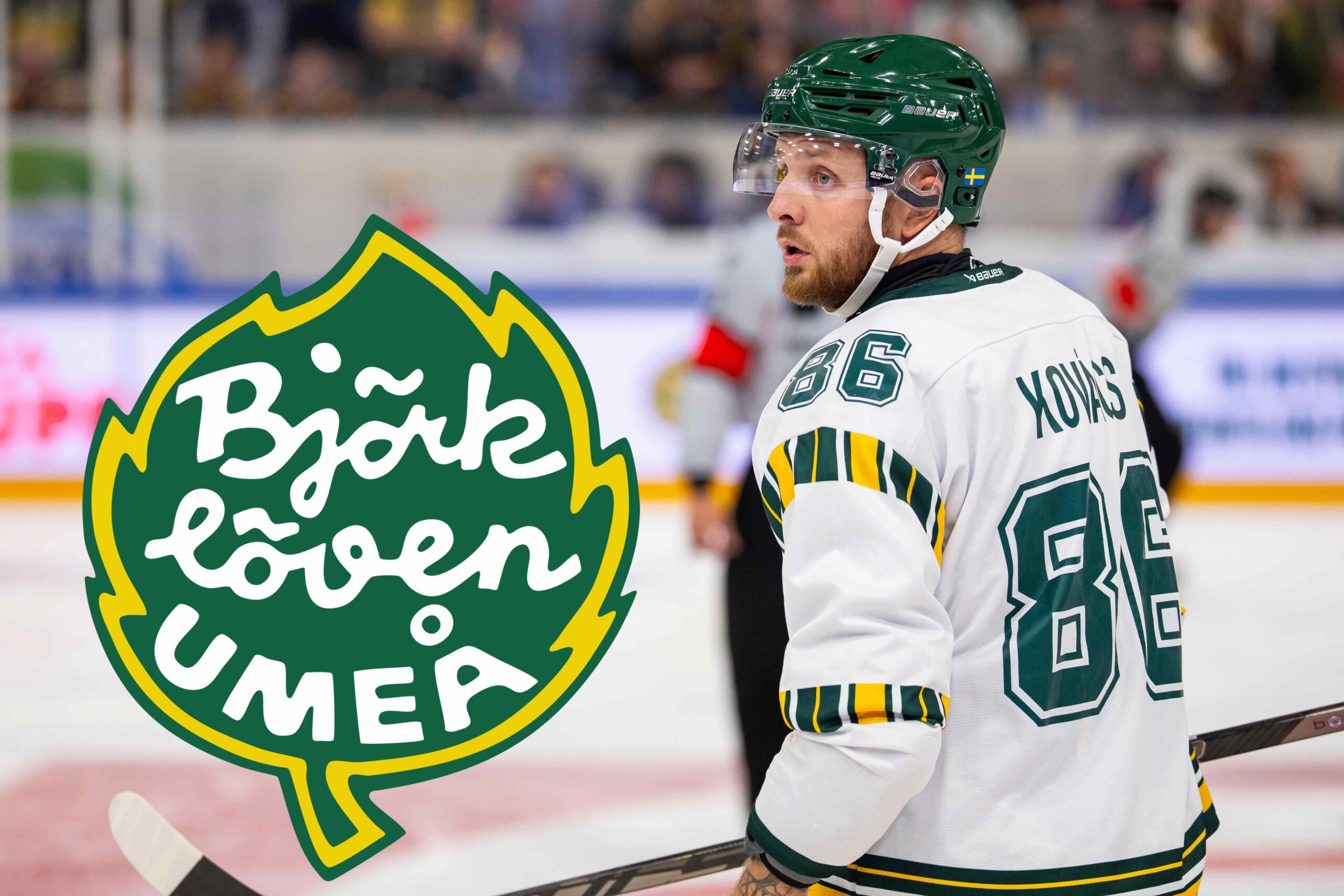 SHL-bibeln 2026/2027 – Björklöven: ”Seriens mest svårbedömda lag”