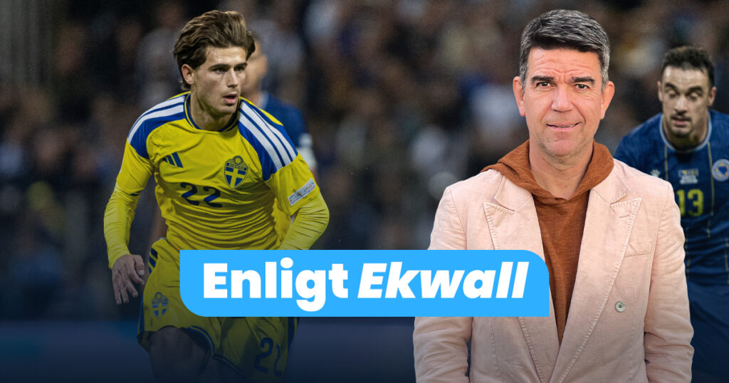 SPELARBETYG: ”Lätt att förstå att Potter gillar honom”